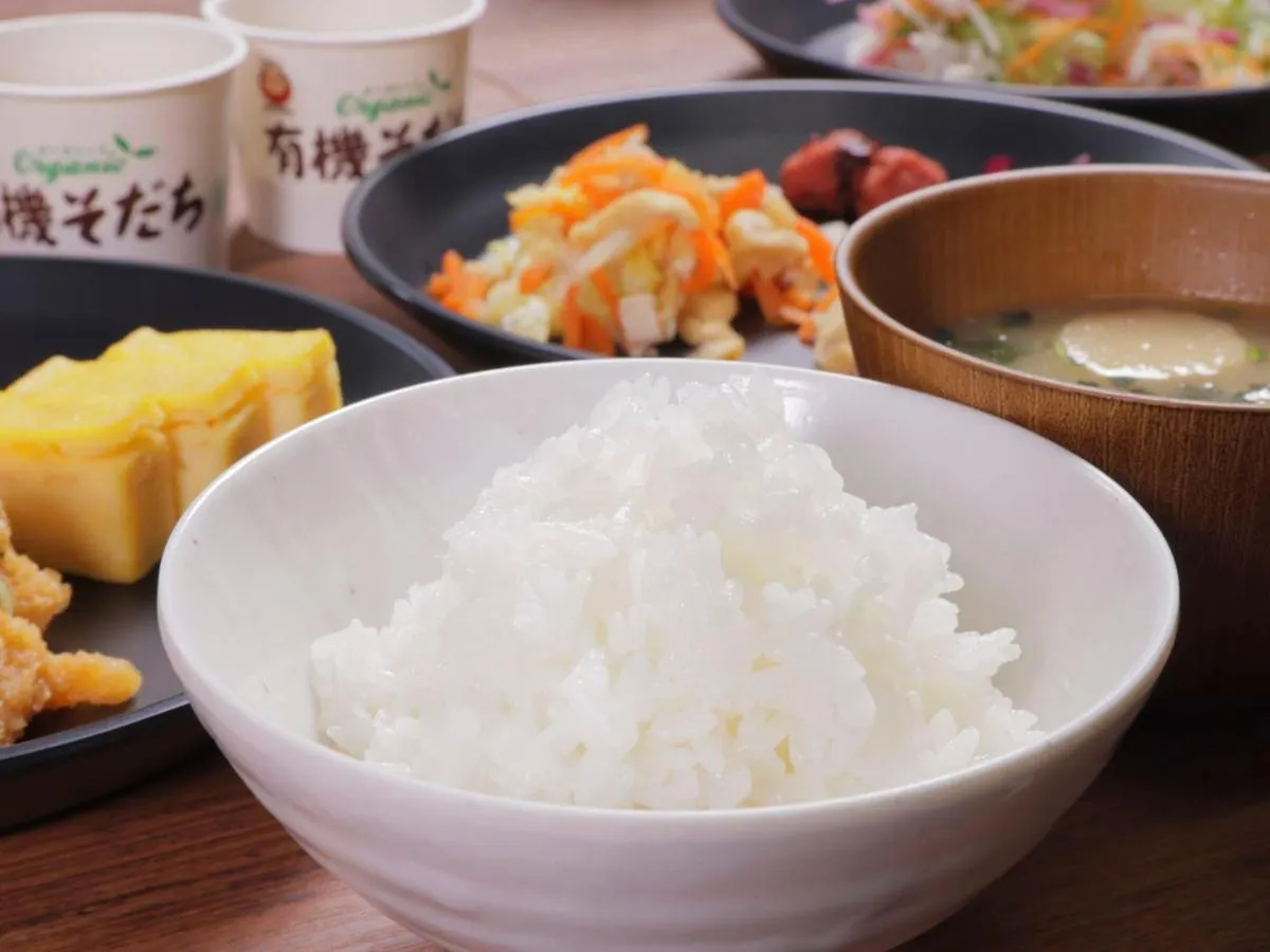 Super Hotel Sapporo Susukino 3*,